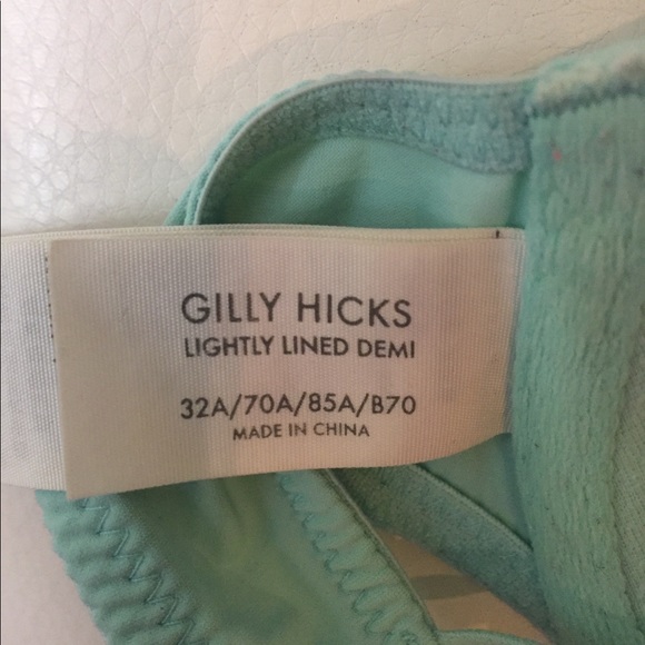 **SOLD**Gilly Hicks Demi Bra - Picture 4 of 6